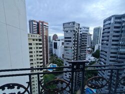 Cairnhill Plaza (D9), Apartment #490138531